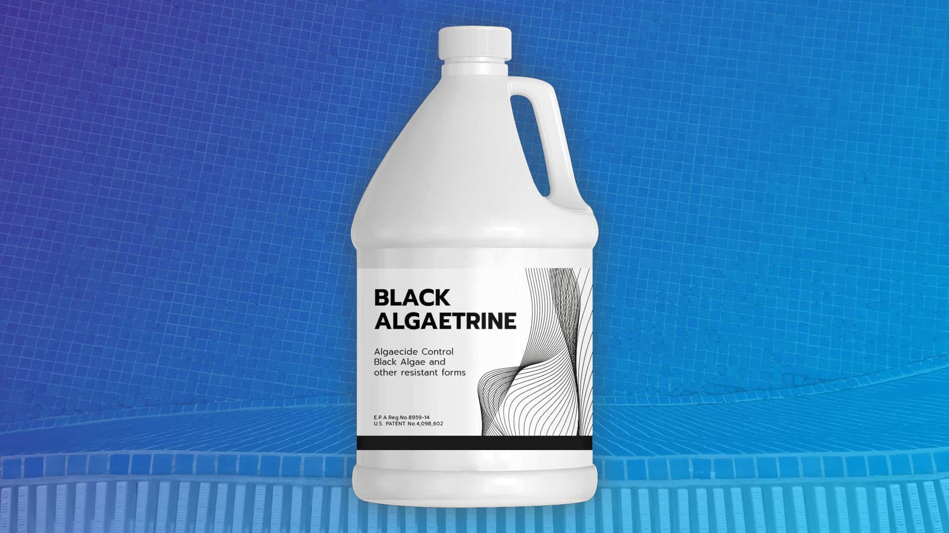 Black Algatrine น้ำยาสระว่ายน้ำ
